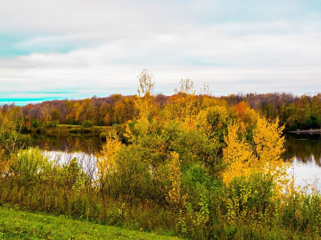 多拉尔-德索莫旅游攻略图片