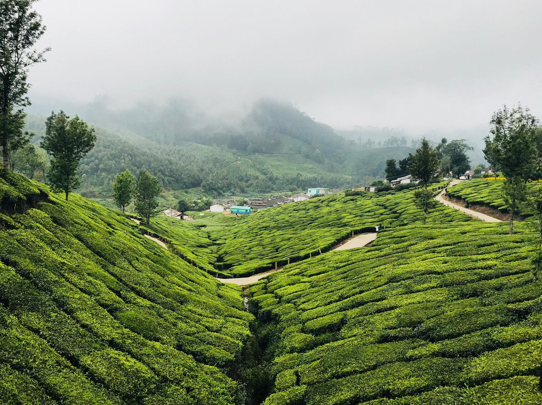 Vattavada旅游攻略图片