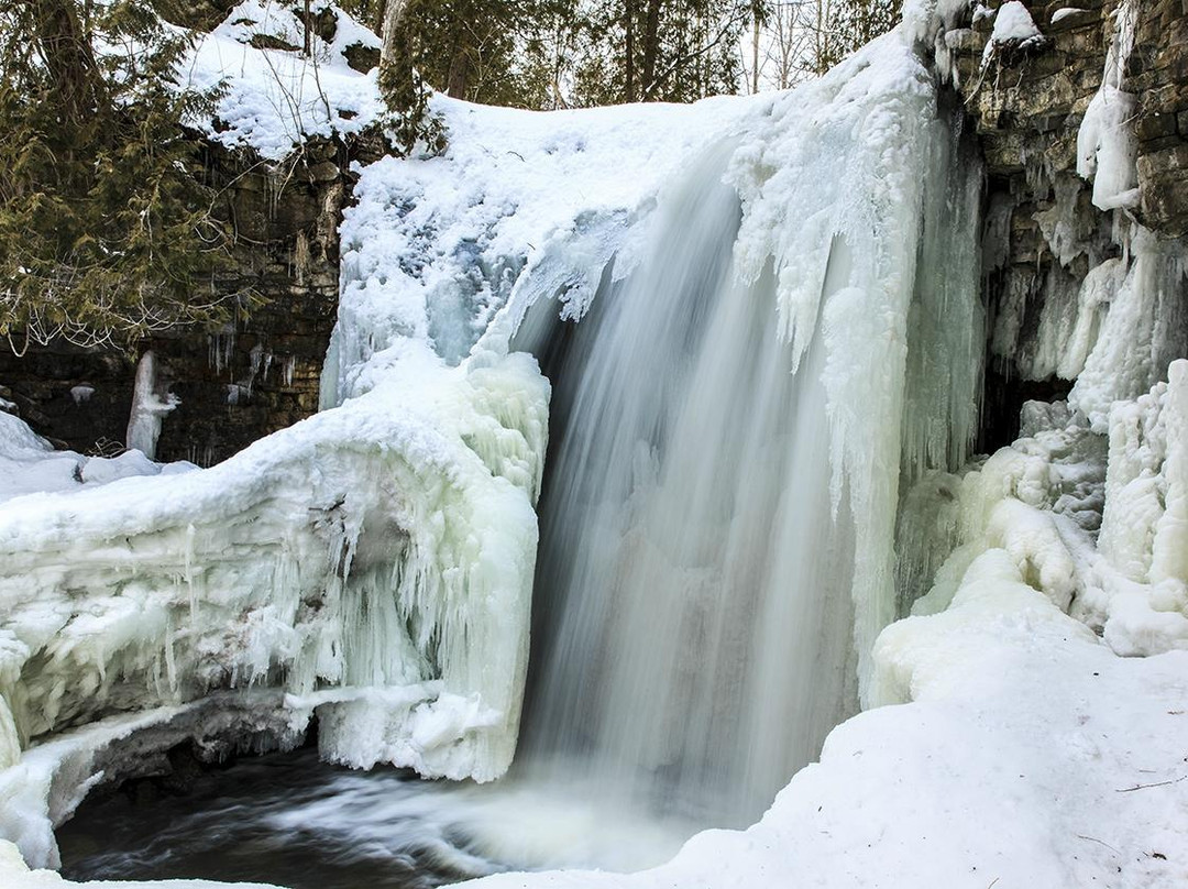 Milton旅游攻略图片