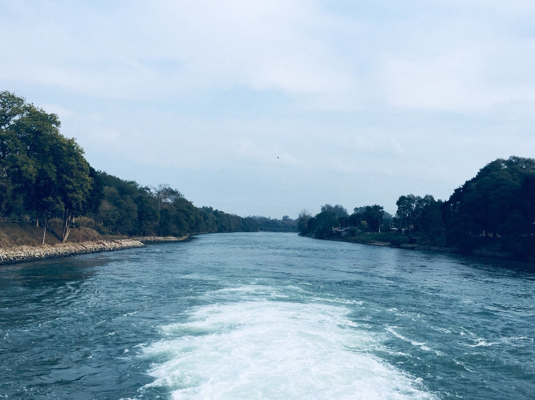 Ropar Wetland (Ropar Lake)景点图片