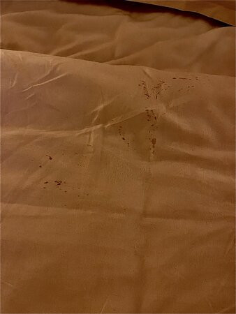 法兰克福机场喜来登酒店及会议中心主图