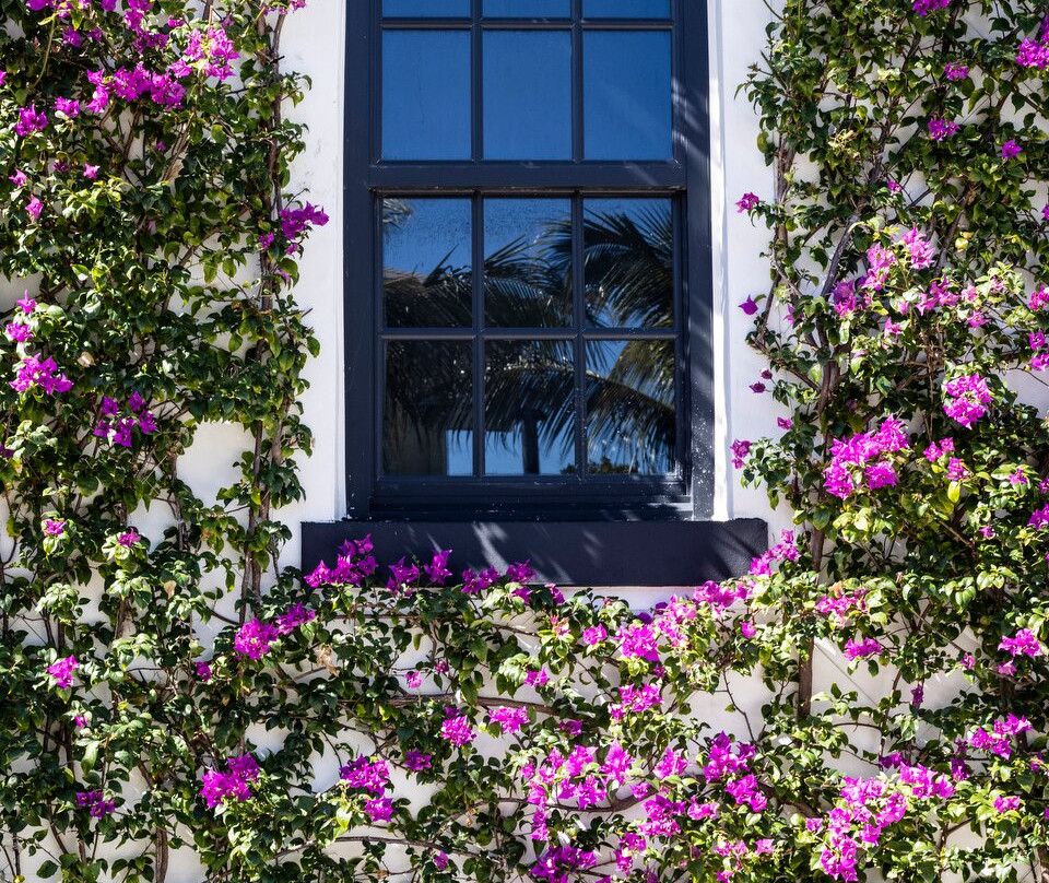 White Elephant Palm Beach主图