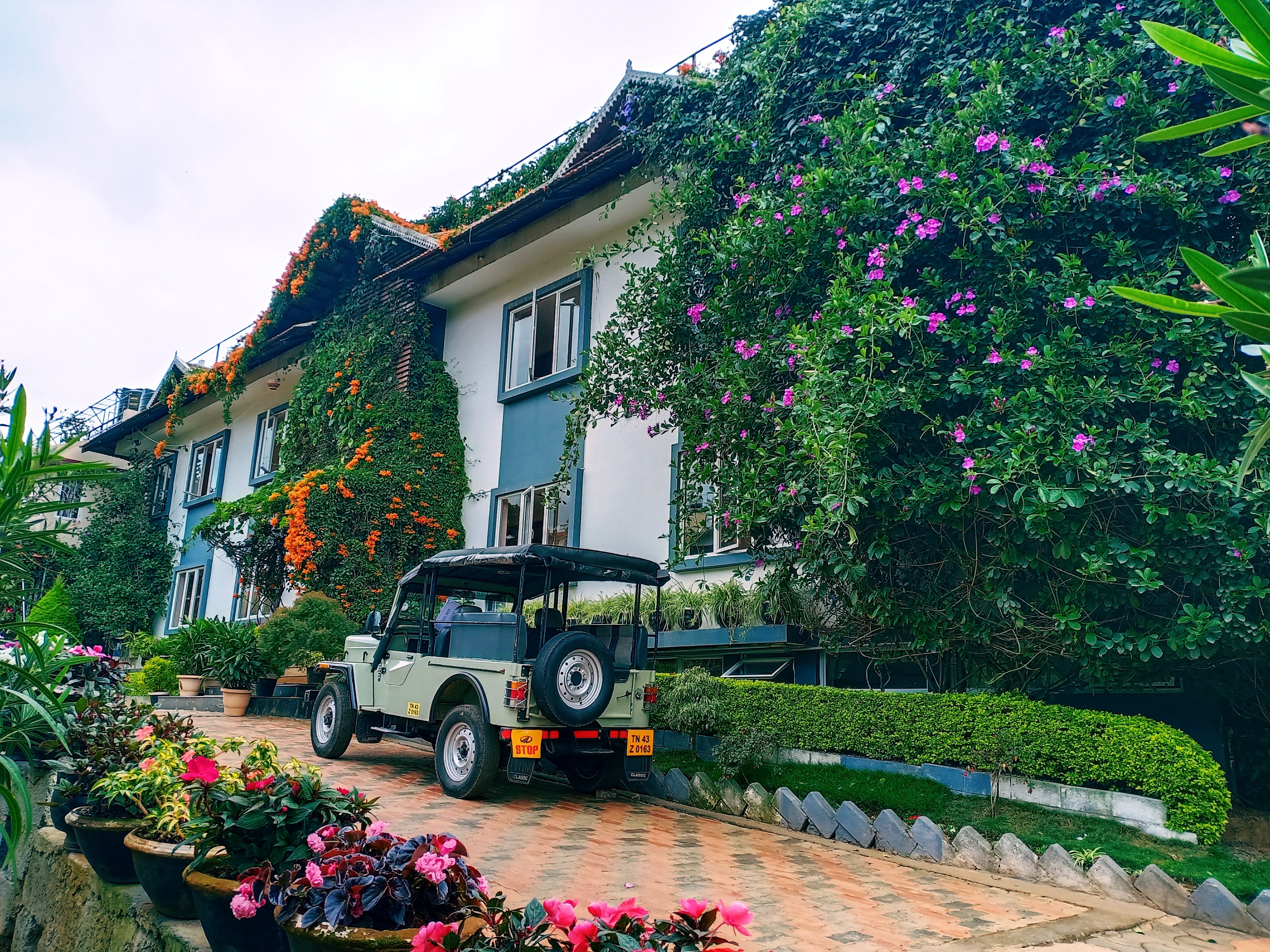 Sunvalley Homestay-官方