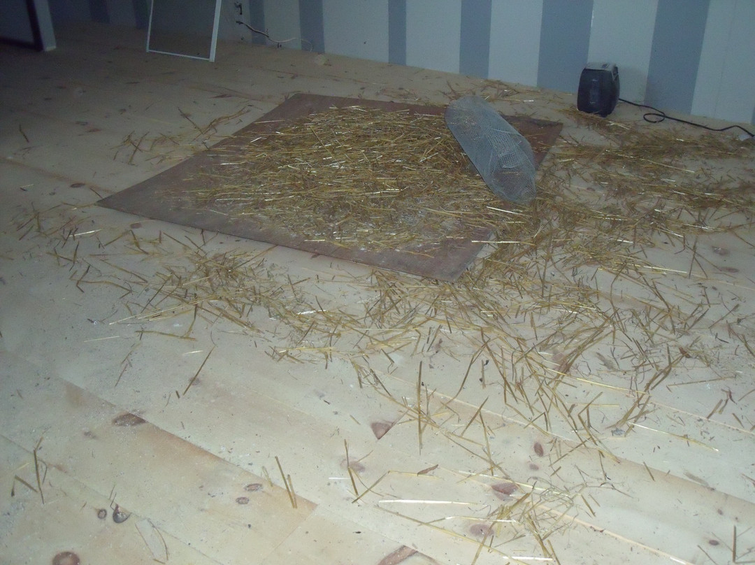 Shawville旅游攻略图片