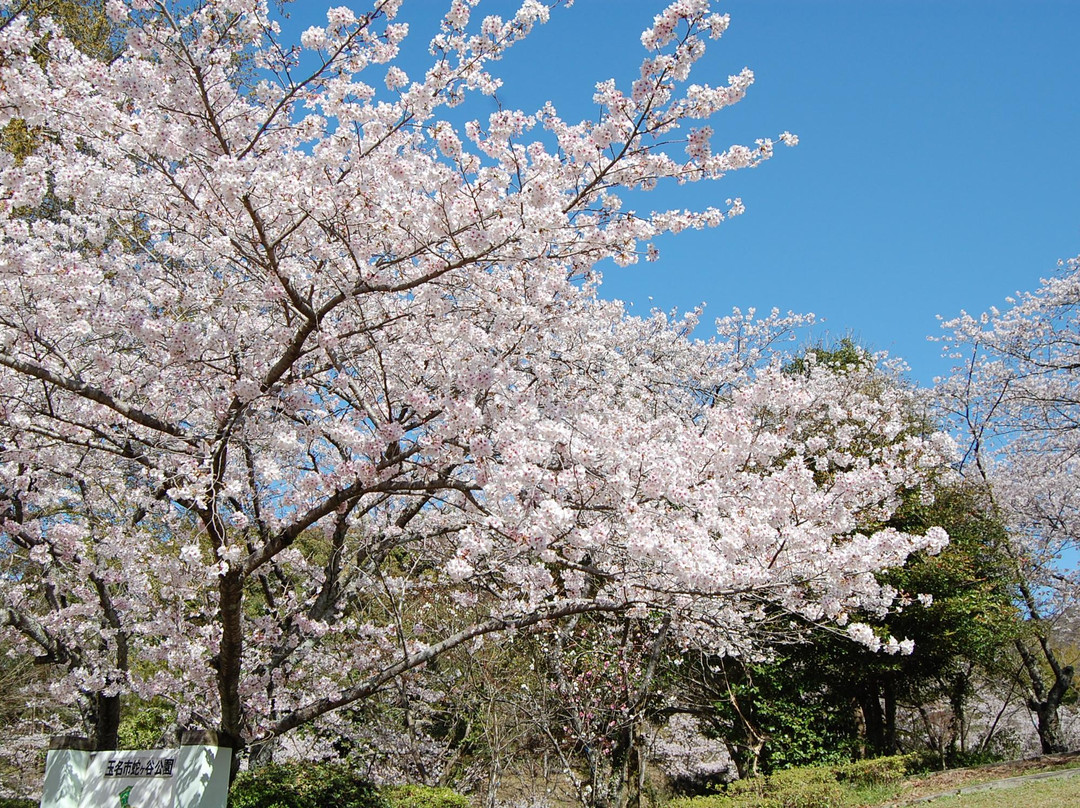 玉名市旅游景点-Jagatani Park