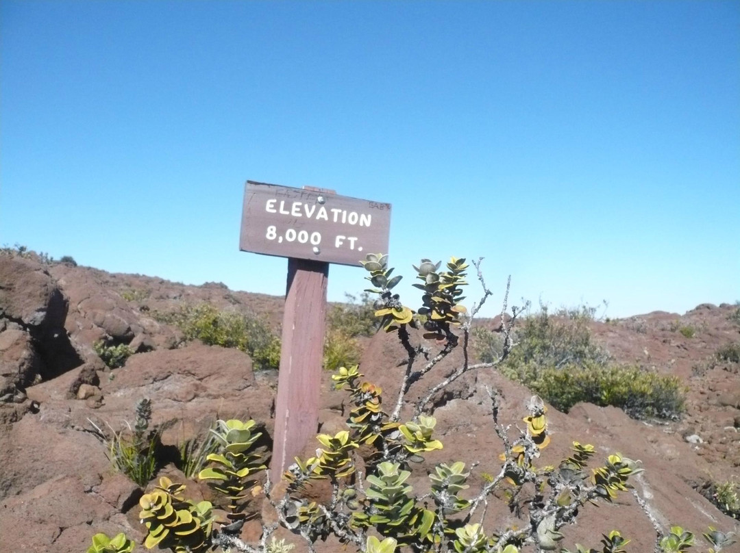Mauna Loa