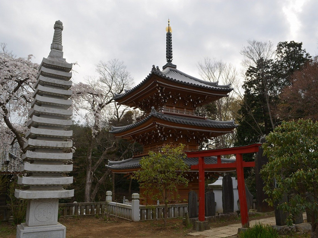 Otaki Fudoson Konzoji Temple景点图片