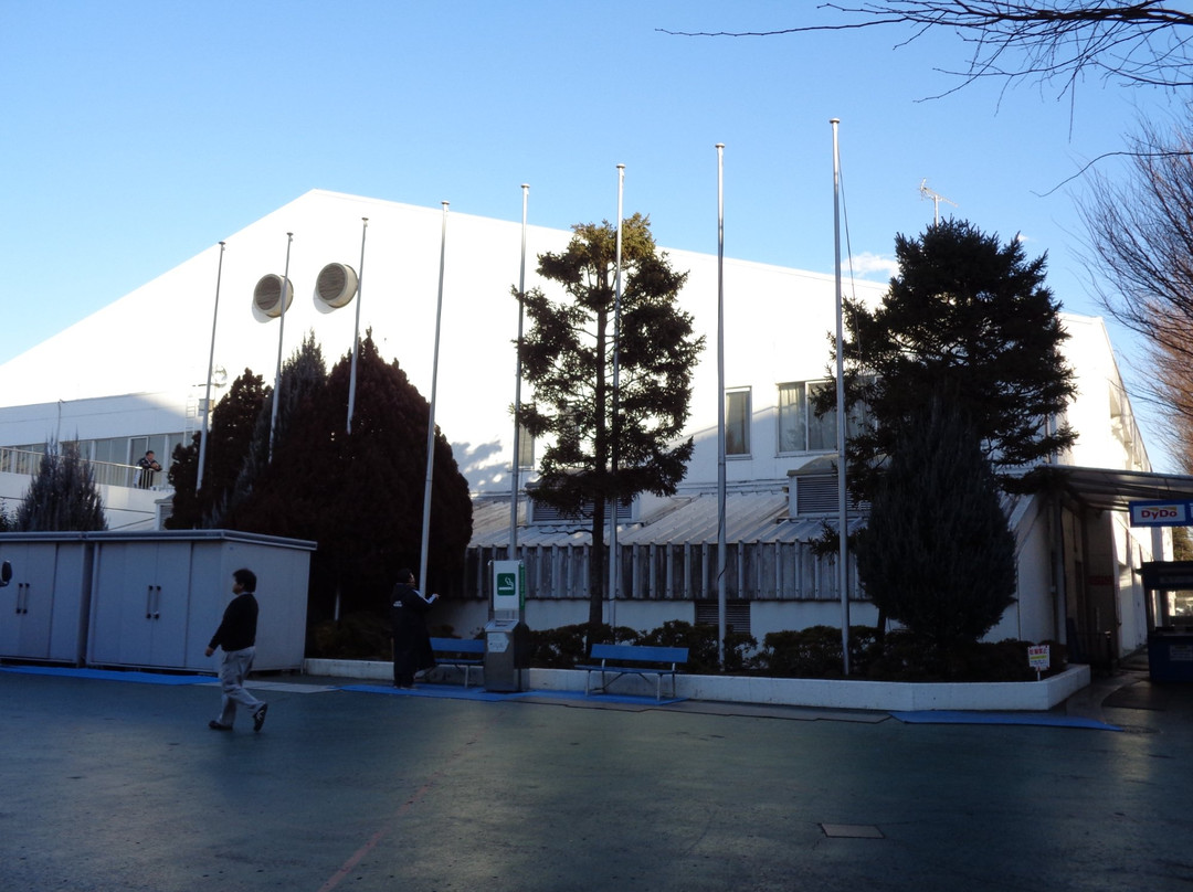 Dido Drinko Ice Arena景点图片