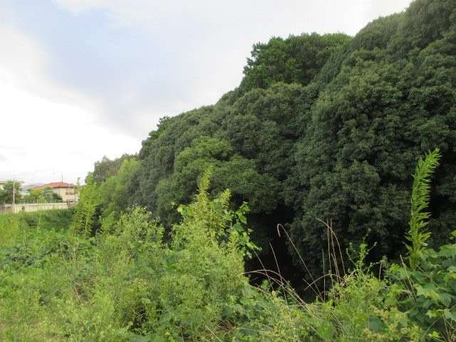 Nakatsuhime-no-Mikoto Tumulus景点图片