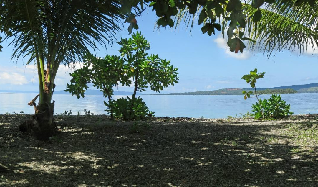 Katican Island (Pearl Island)景点图片