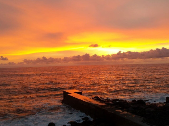 bearded madeira tours & walks