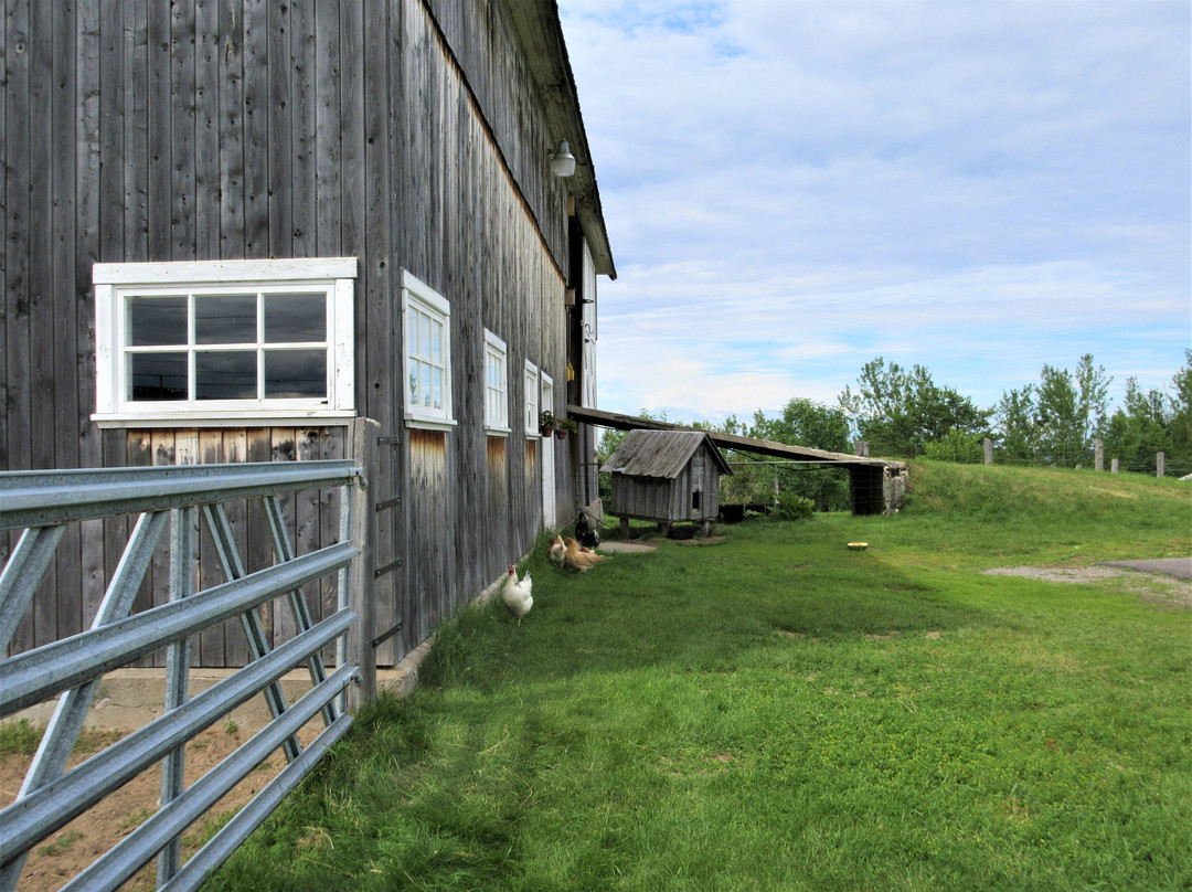 Ferme Bouchard Et Filles景点图片