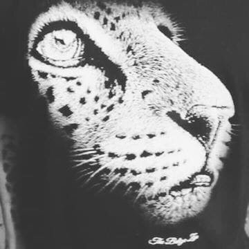 Calakmul y Selva Tours