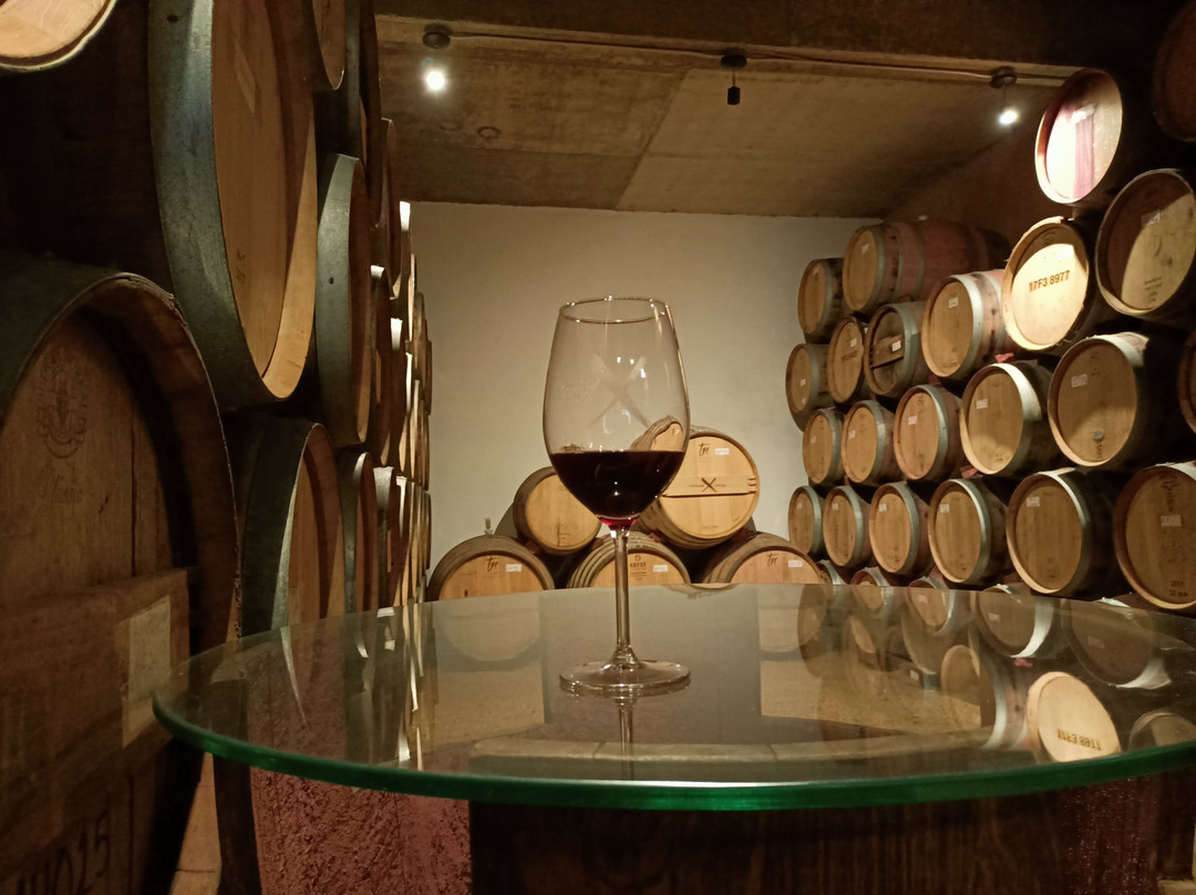Vinos Cruz