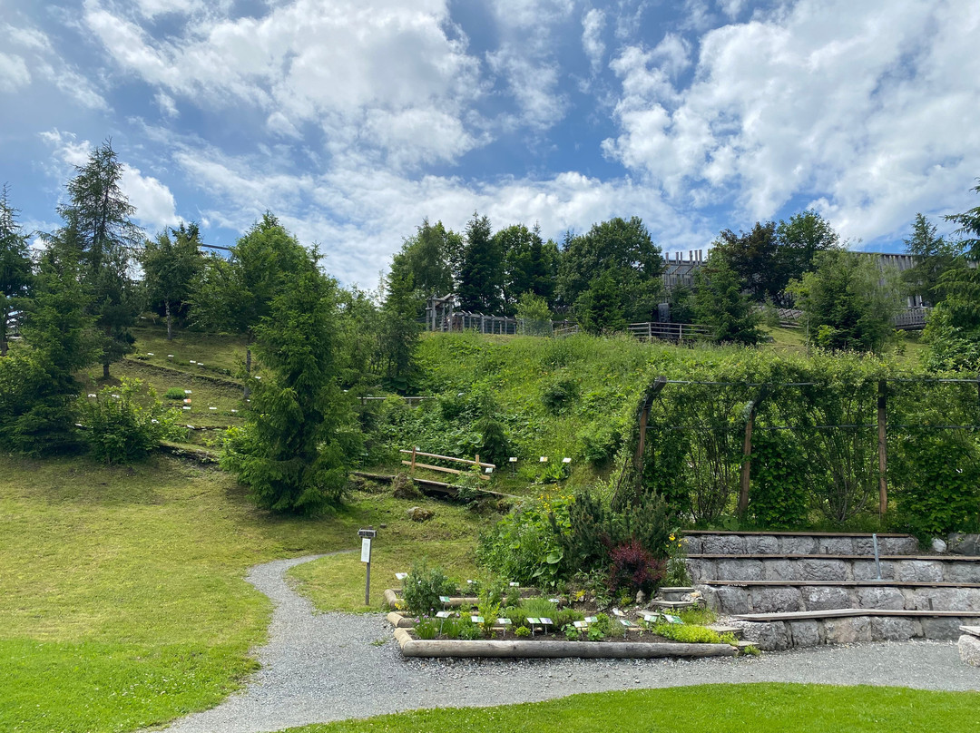 Saalfelden Leogang-里欧刚必去景点