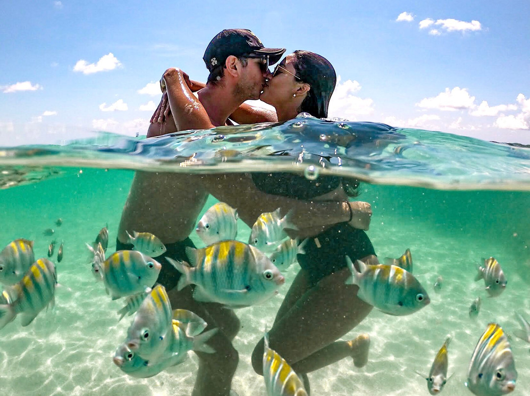 Tiago Amorim Turismo-Maceio必去景点