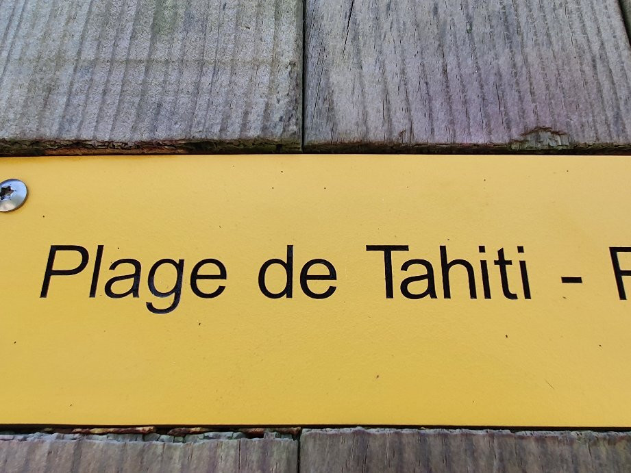 Plage de Tahiti景点图片