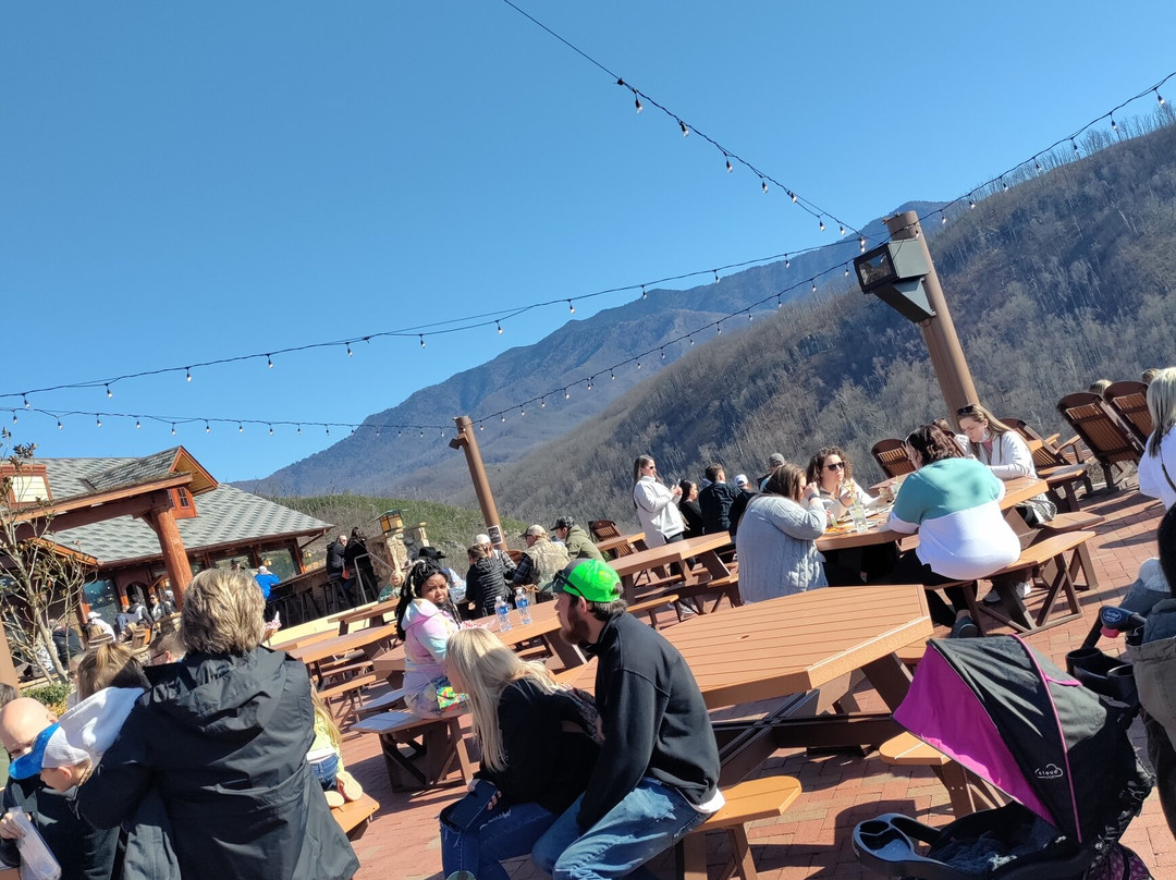 Anakeesta-盖林柏格必去景点