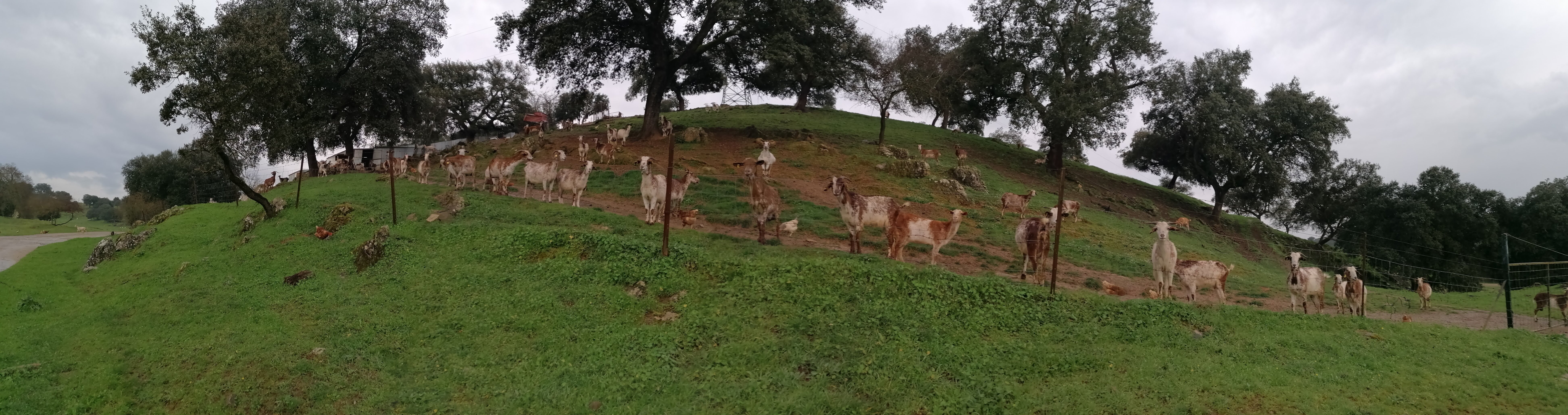 Hotel Rural Finca La Herencia-浴室