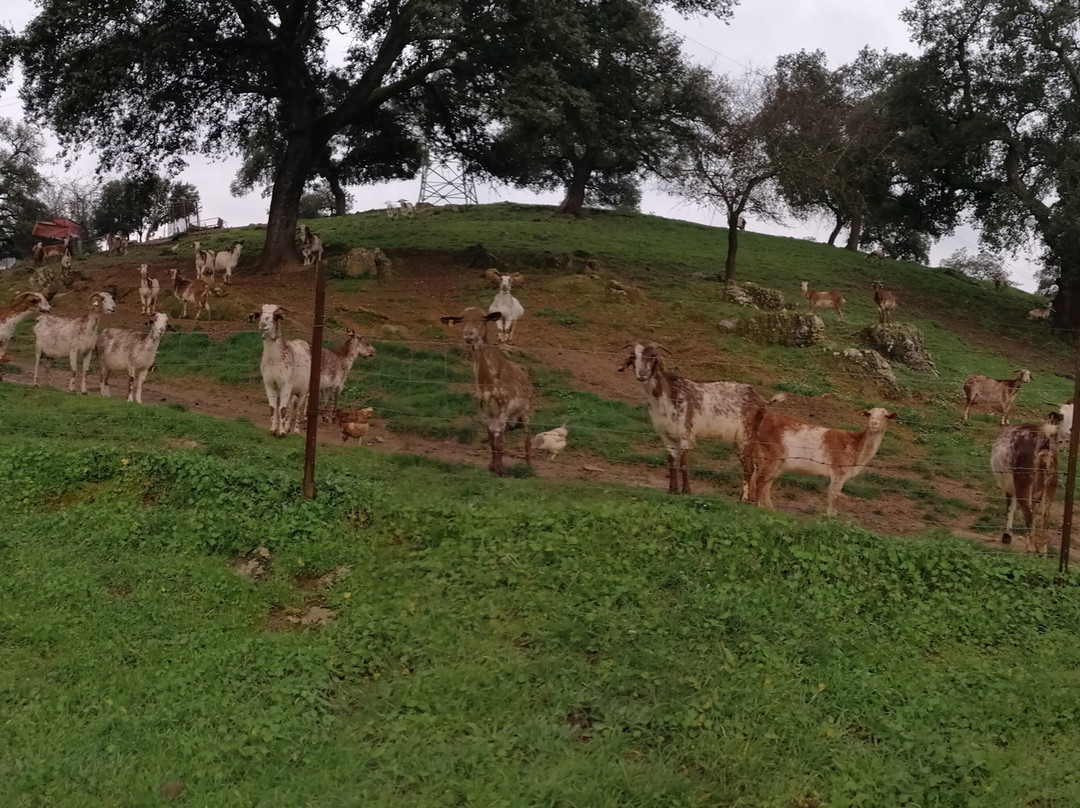 Hotel Rural Finca La Herencia主图