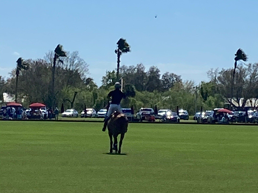 Sarasota Polo-Lakewood Ranch必去景点