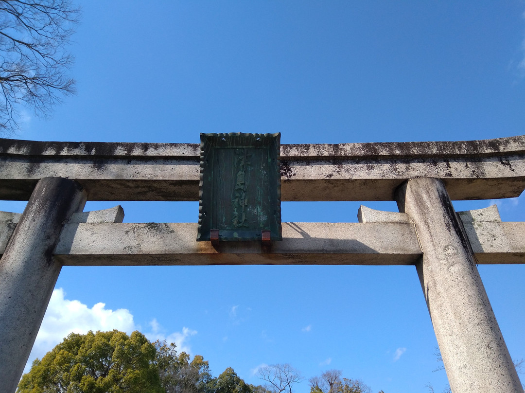 Tsushima Shrine景点图片