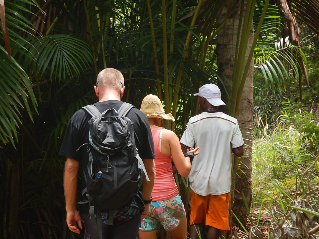 Raja Ampat Sunrise Homestay主图