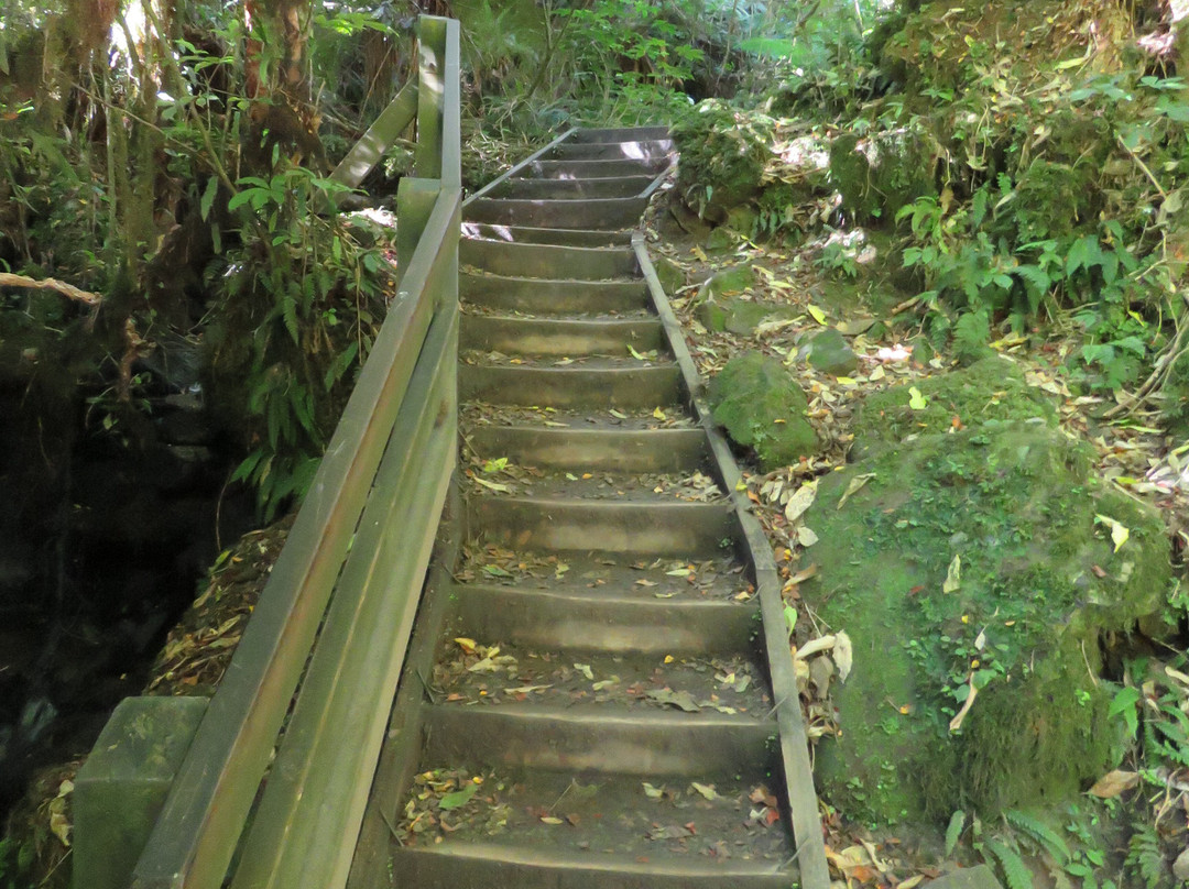Purakaunui Falls景点图片