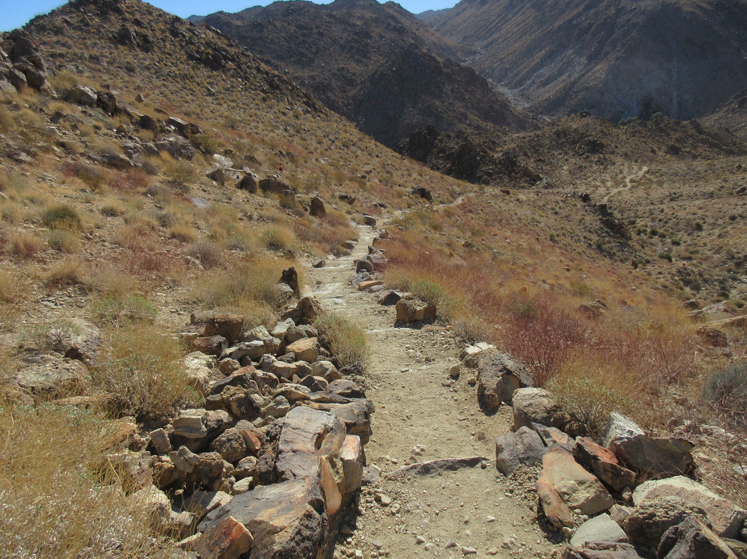 49 Palms Canyon Trail-约书亚树国家公园必去景点