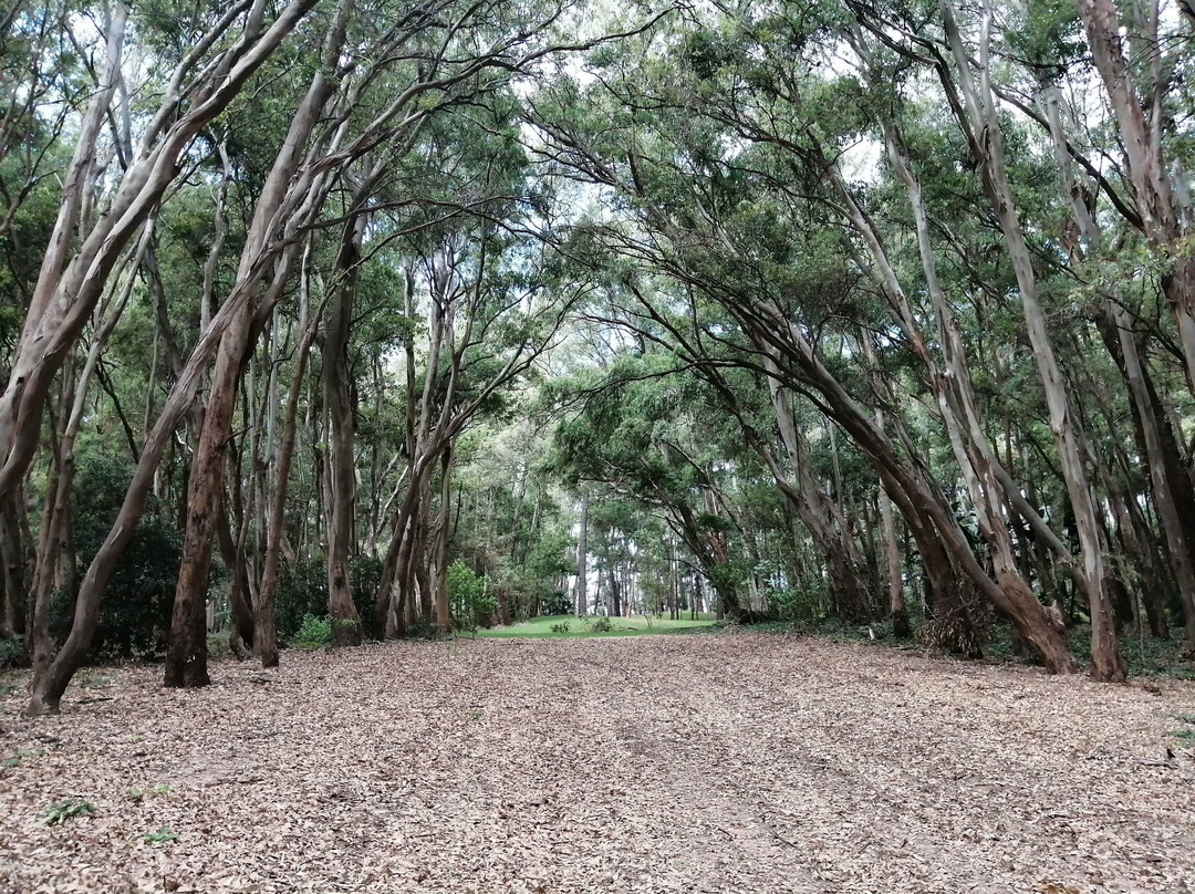 Isla Gorriti-Maldonado必去景点