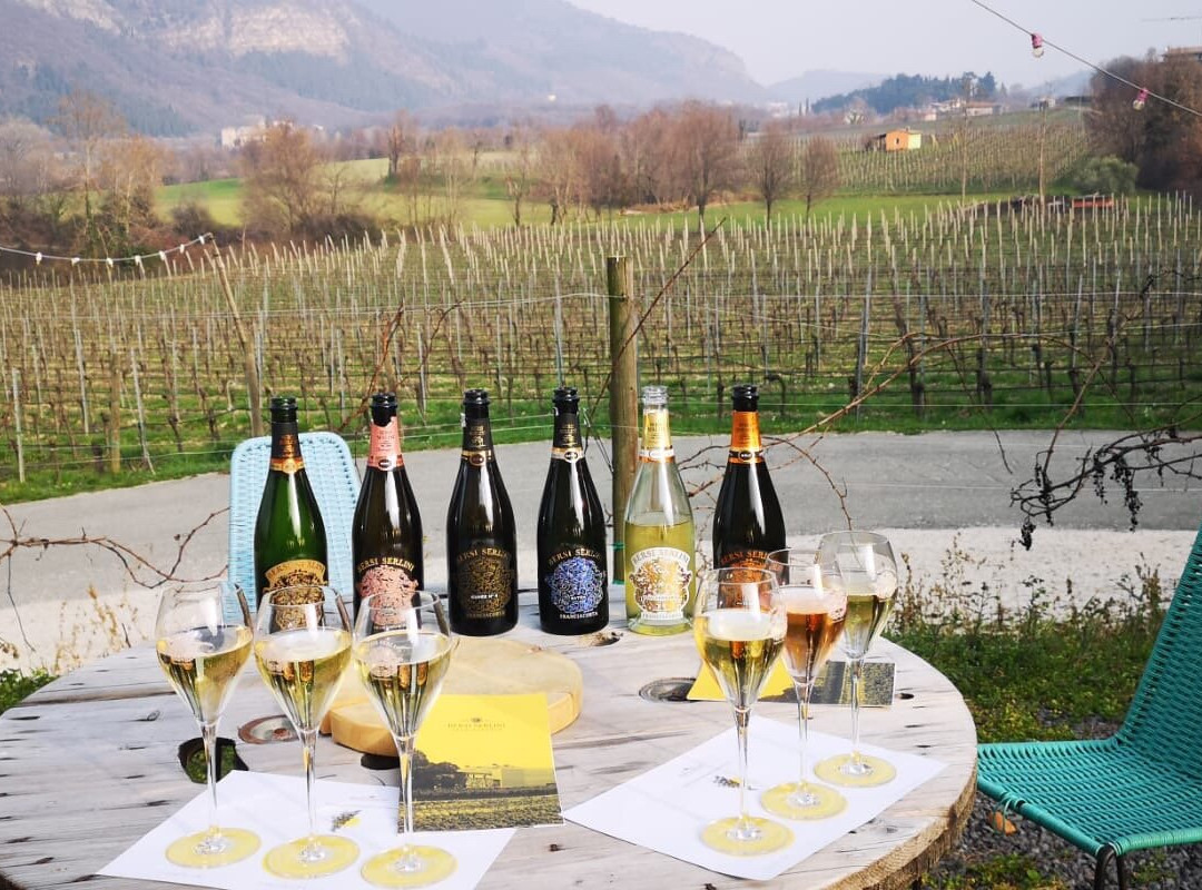 Bersi Serlini Franciacorta景点图片