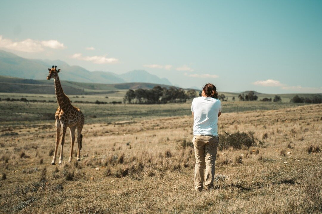 ScoreTravelSA-三图里恩必去景点