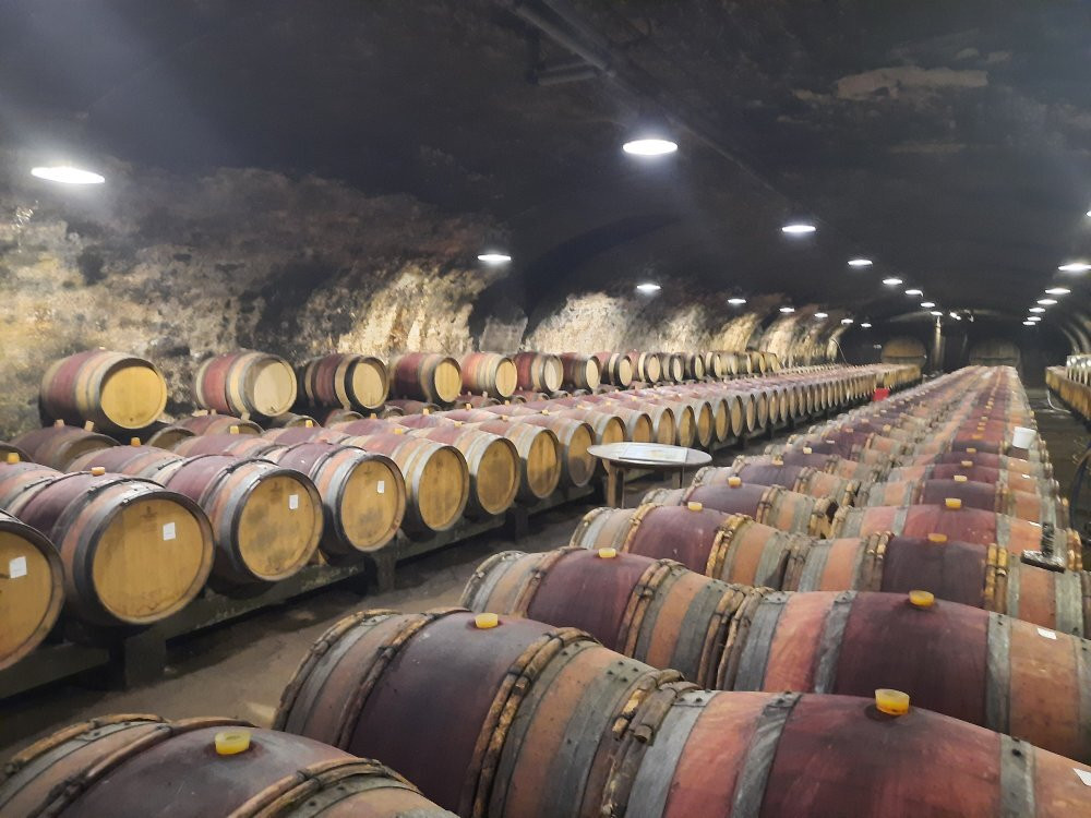 Cave Château Chénas-Chenas必去景点