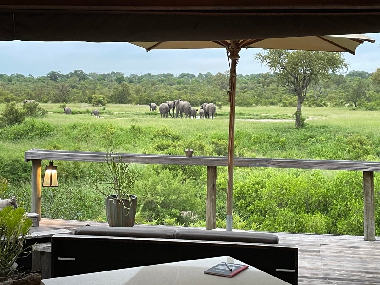 辛巴姆比里狩猎山林小屋-餐饮
