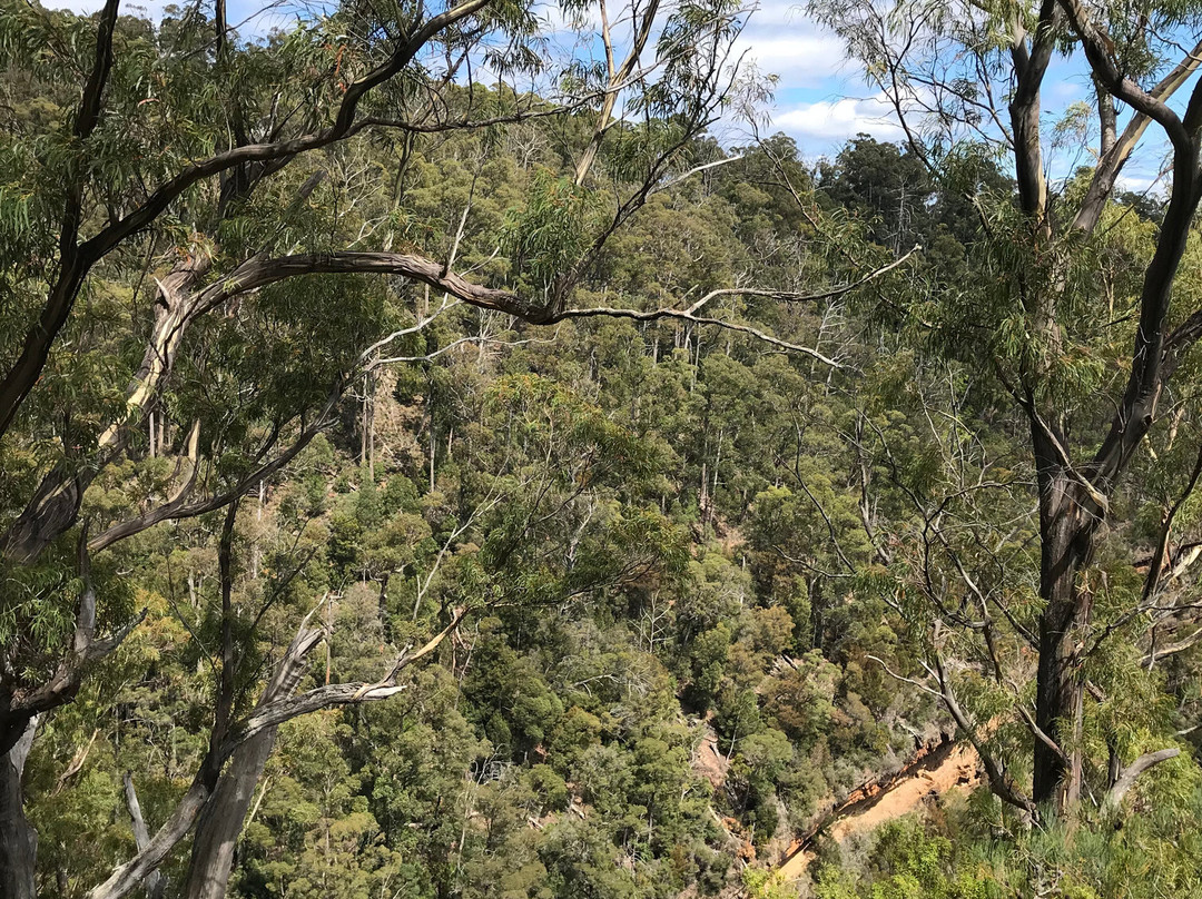 Alum Cliffs-Chudleigh必去景点