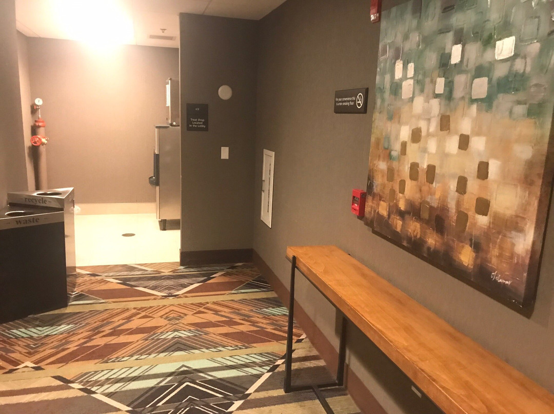 Hampton Inn & Suites Minooka主图