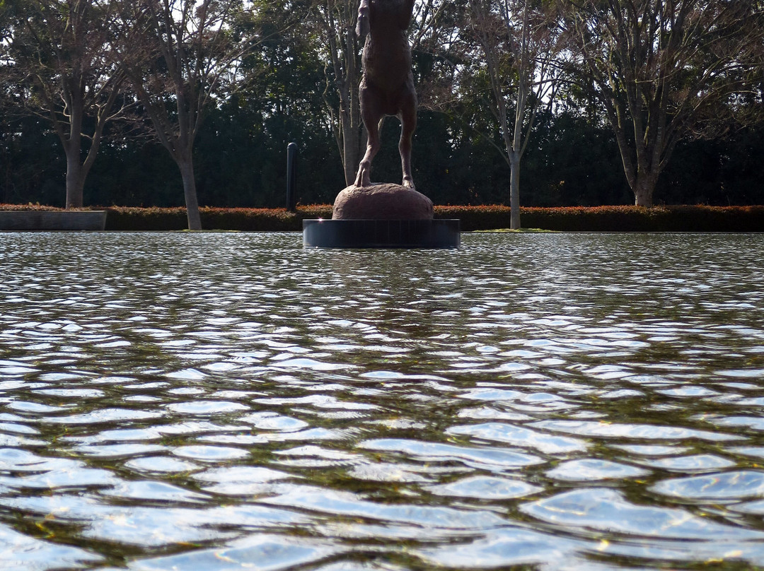 Sagawa Art Museum景点图片