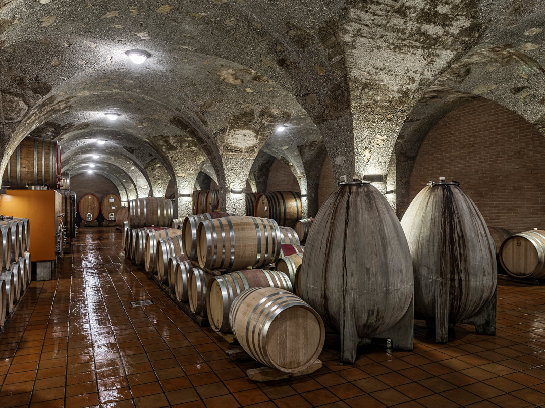 Tenuta Corte Pavone-蒙塔尔奇诺必去景点