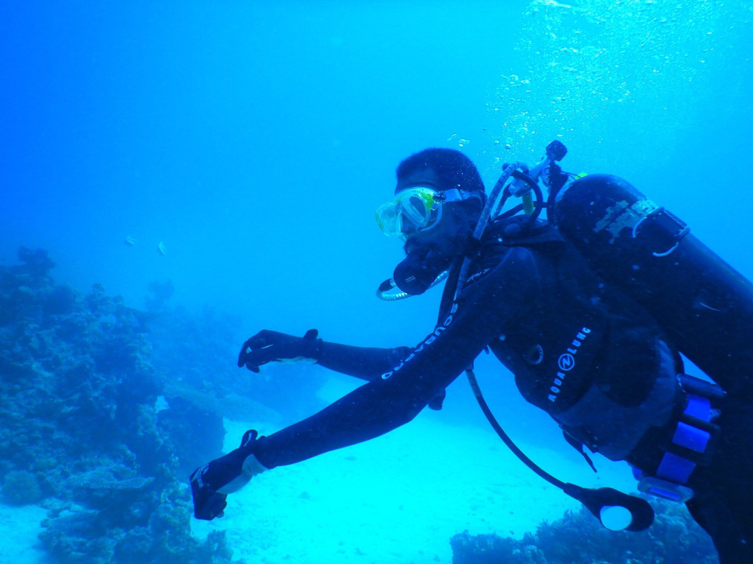 Charisma Diving Sudan-Port Sudan必去景点