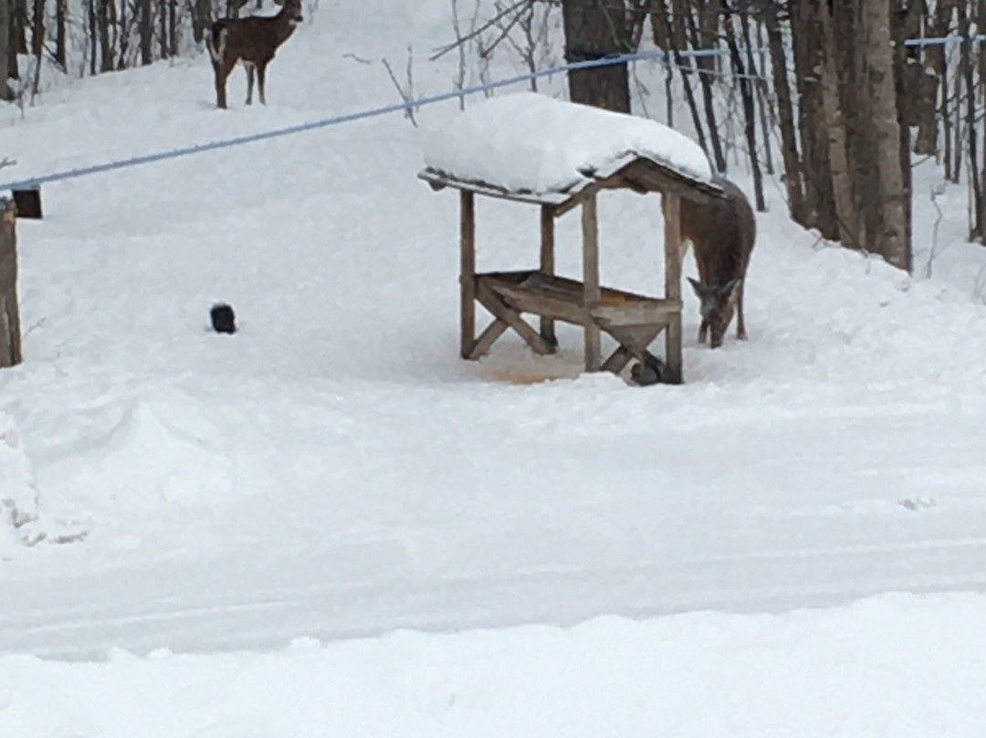 Auberge des Gallant Restaurant and SPA主图
