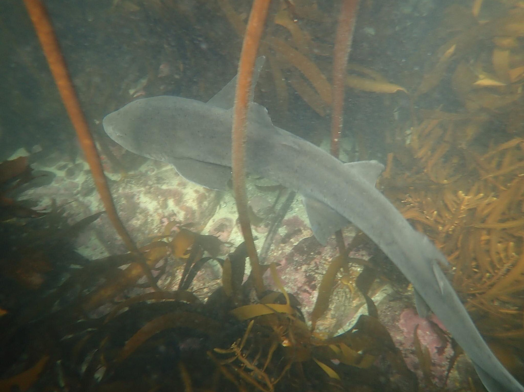 Scuba Shack-西门镇必去景点