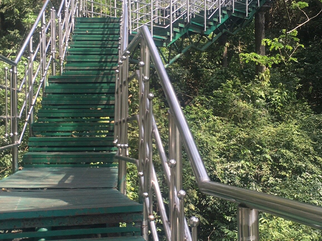 Thenmala Ecotourism-Thenmala必去景点