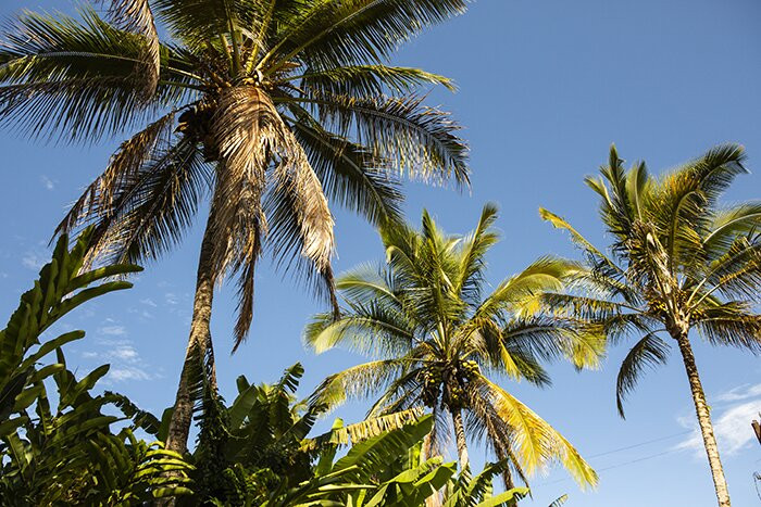 阿诺特之家主图