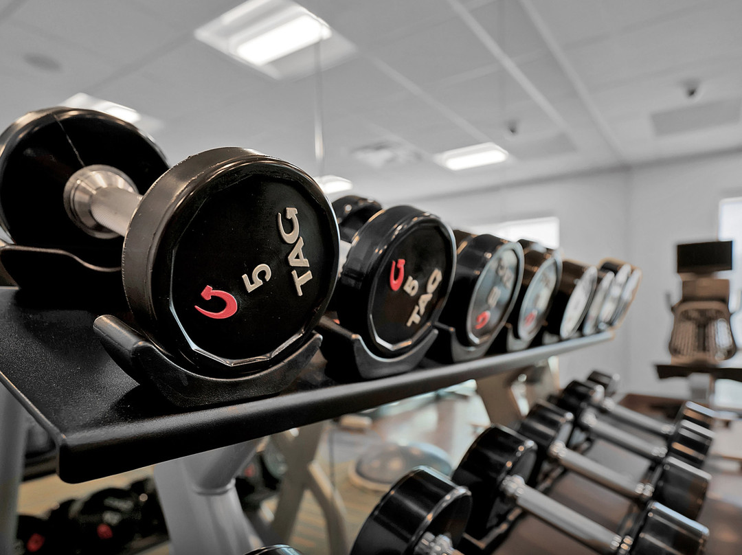 Holiday Inn Express Jacksonville South Bartram Prk by IHG主图