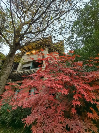 良渚君澜度假酒店-官方