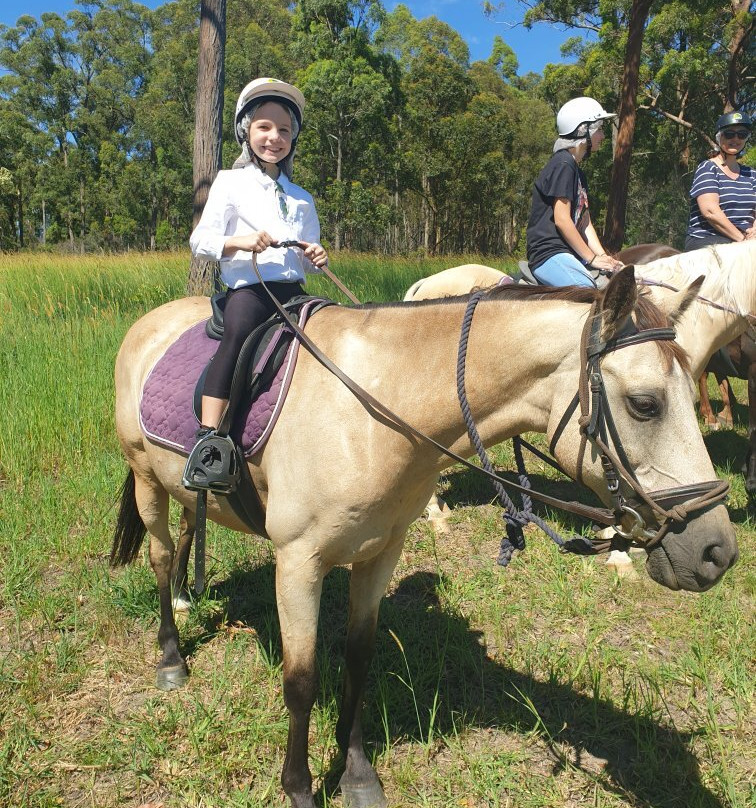 Port Macquarie Horse Riding Centre-麦克夸利港必去景点