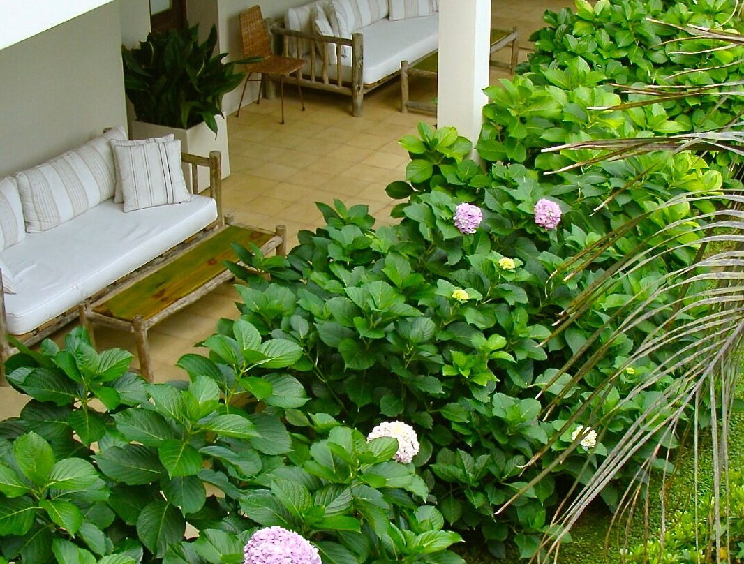 Brisas de la Pedrera Hotel Boutique主图