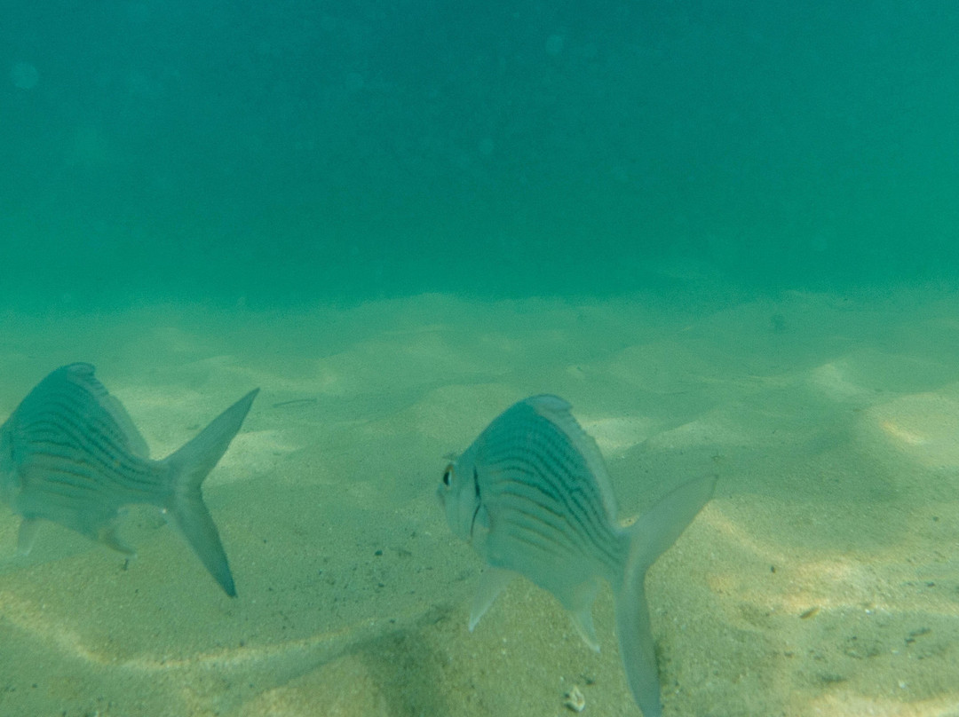 Saco do Eustaquio-伊利亚贝拉必去景点