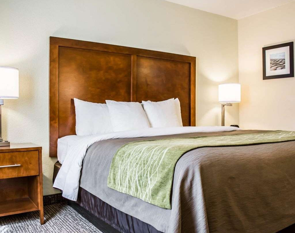 Comfort Inn Fort Myers Northeast主图