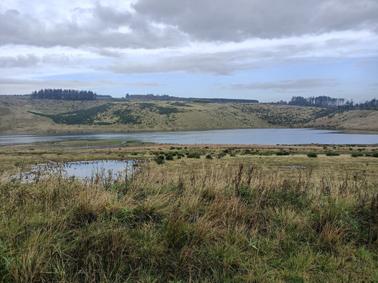 St Ninians ,jenks Land Artscape